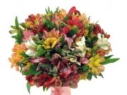 Как выбрать букет для подарка в профессиональный праздник