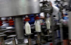 Цены на молоко в Украине стали одними из самых высоких в Европе — эксперт