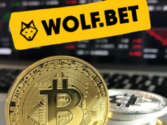 Первое криптовалютное онлайн WOLF.BET казино доступно уже на Казинолоджи!