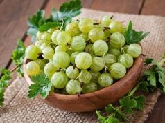 Крыжовник: секреты хорошего урожая