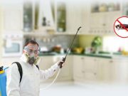 Избавляемся от Тараканов Вместе с “Марафет”