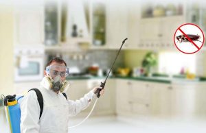 Избавляемся от Тараканов Вместе с “Марафет”