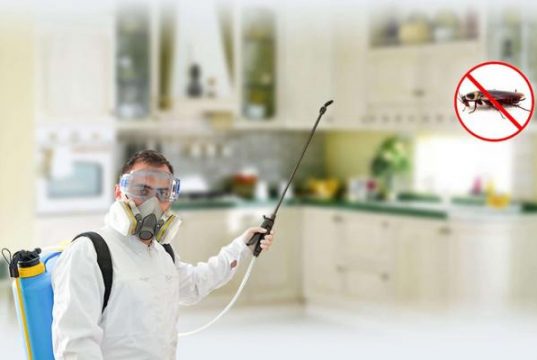 Избавляемся от Тараканов Вместе с “Марафет”