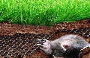 Как избавиться от кротов на участке: использование сетки от кротов