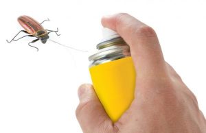 Как избавиться от тараканов: эффективные способы и когда нужно обращаться к службе дезинсекции