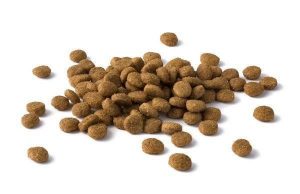 Корм для кошек: какой должен быть, на что обратить внимание при выборе