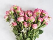 Язык цветов: история, символизм и искусство составления букетов