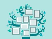 Как составить генеалогическое древо