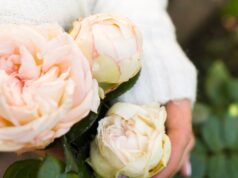 Элегантность и нежность букетов из пионов: как создать идеальную цветочную композицию