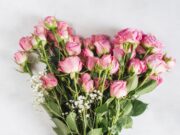 Как найти идеальный букет цветов в Санкт-Петербурге: советы и рекомендации