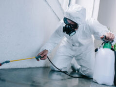 Дезинсекция от тараканов: Почему профессиональная помощь – ваш лучший выбор