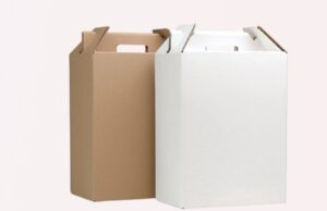 Упаковки из картона для вина: виды и особенности