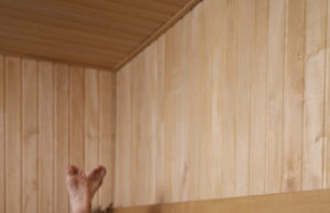 Инфракрасная сауна для похудения: работает ли на самом деле?