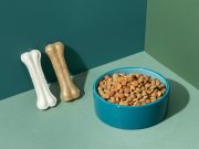 Корма для домашних любимцев: забота о здоровье с первых дней https://awardpetfood.ru