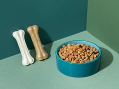 Корма для домашних любимцев: забота о здоровье с первых дней https://awardpetfood.ru