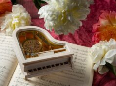 Концерты классической музыки: польза и преимущества