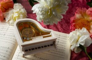 Концерты классической музыки: польза и преимущества